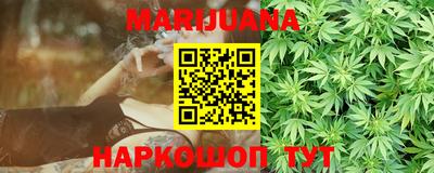 индика Моздок