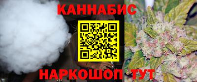 индика Моздок