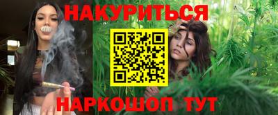 индика Моздок