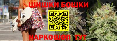 индика Моздок